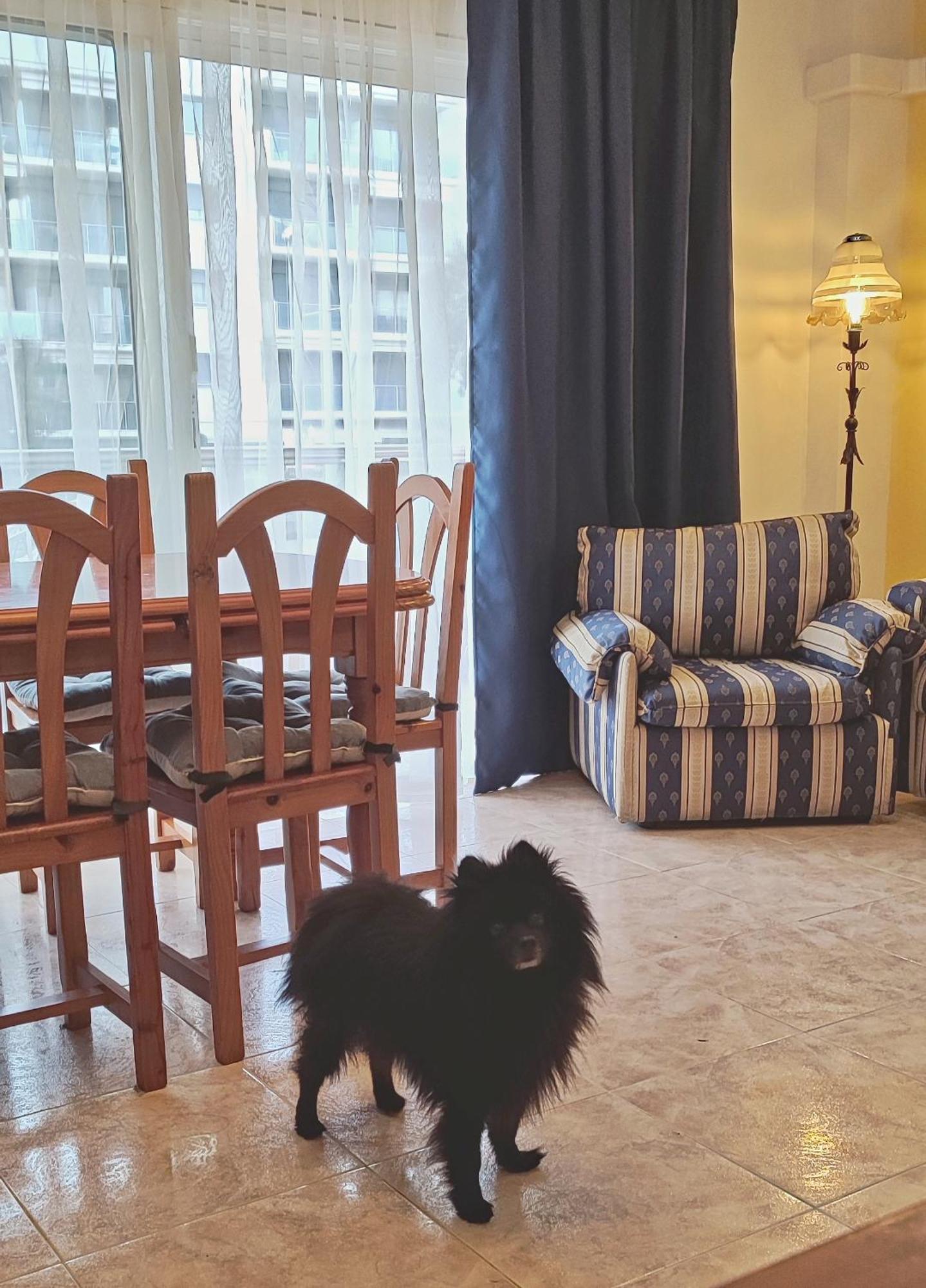 Duplex 2-bedroom Family F&f *
